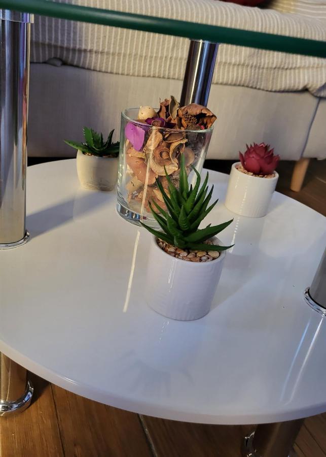 Rijeka Apartment With Free Parking And Large Balcony Exterior foto