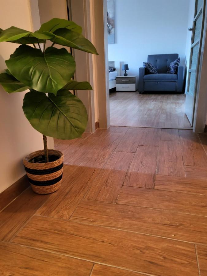 Rijeka Apartment With Free Parking And Large Balcony Exterior foto